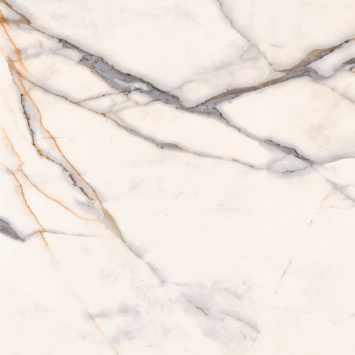 120x120 ROYAL CALACATTA REKTİFİYE PARLAK NANO - 2