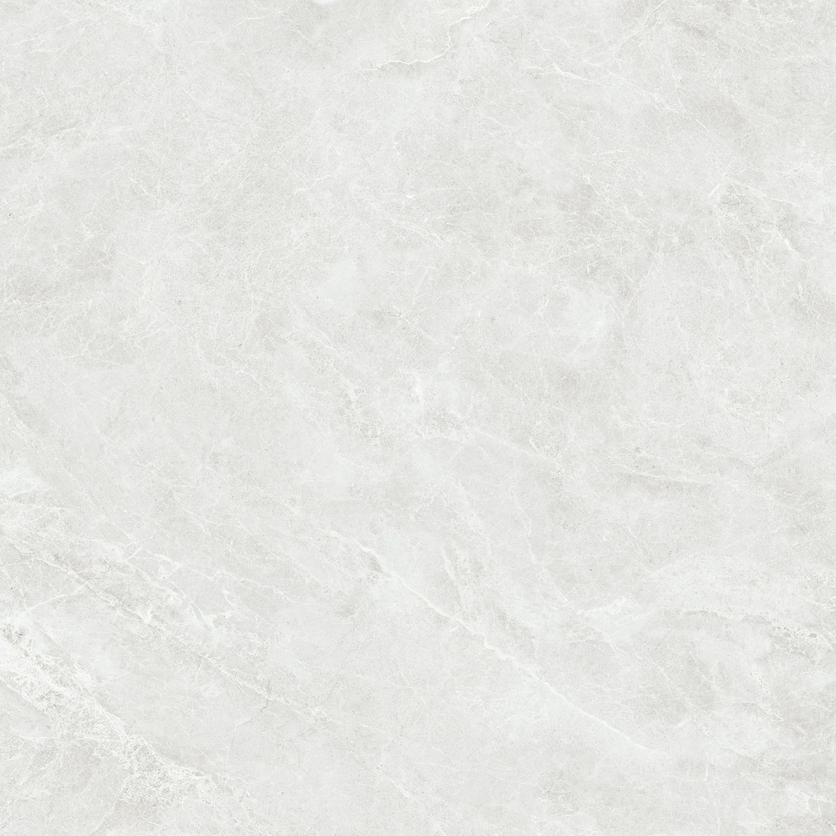 120x120 SWAN AÇIK GRİ SOFT MAT REKTİFİYE - 5