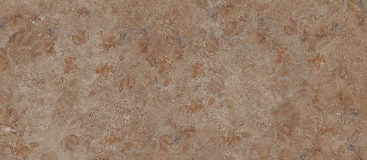 120x280 FOREST PARLAK DF 6MM REKTİFİYE - 3