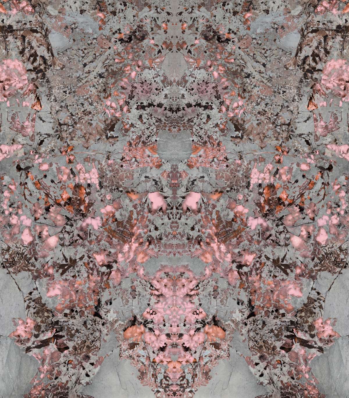 120x280 MIMOZA PARLAK PINK BOOKMATCH 6 MM REKTİFİYE