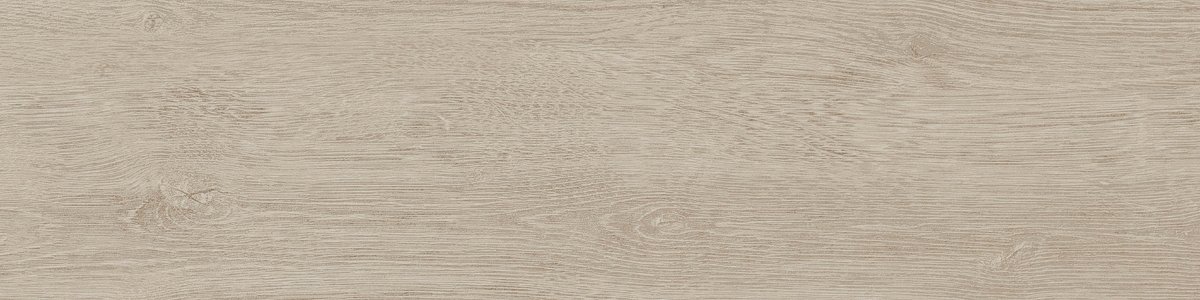 15x60 DENDRO AKÇAAĞAÇ - 3