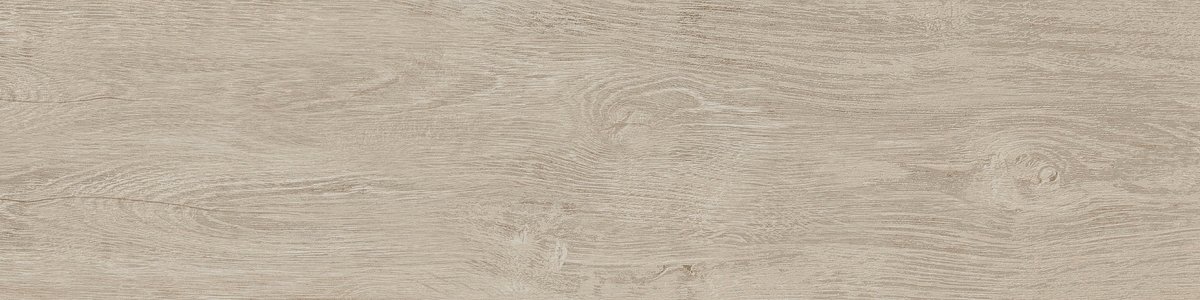 15x60 DENDRO AKÇAAĞAÇ - 4