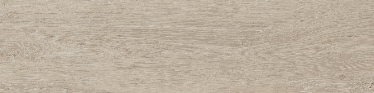 15x60 DENDRO AKÇAAĞAÇ - 5