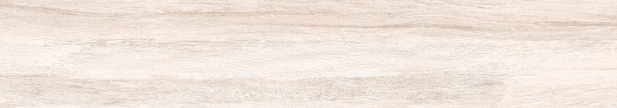20x120 TAIGA LADIN REKTIFIYE - 2