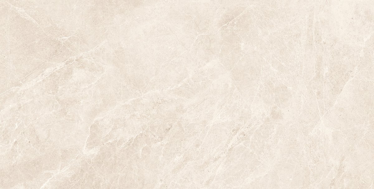 60x120 SWAN BONE REKTİFİYE PARLAK NANO - 3