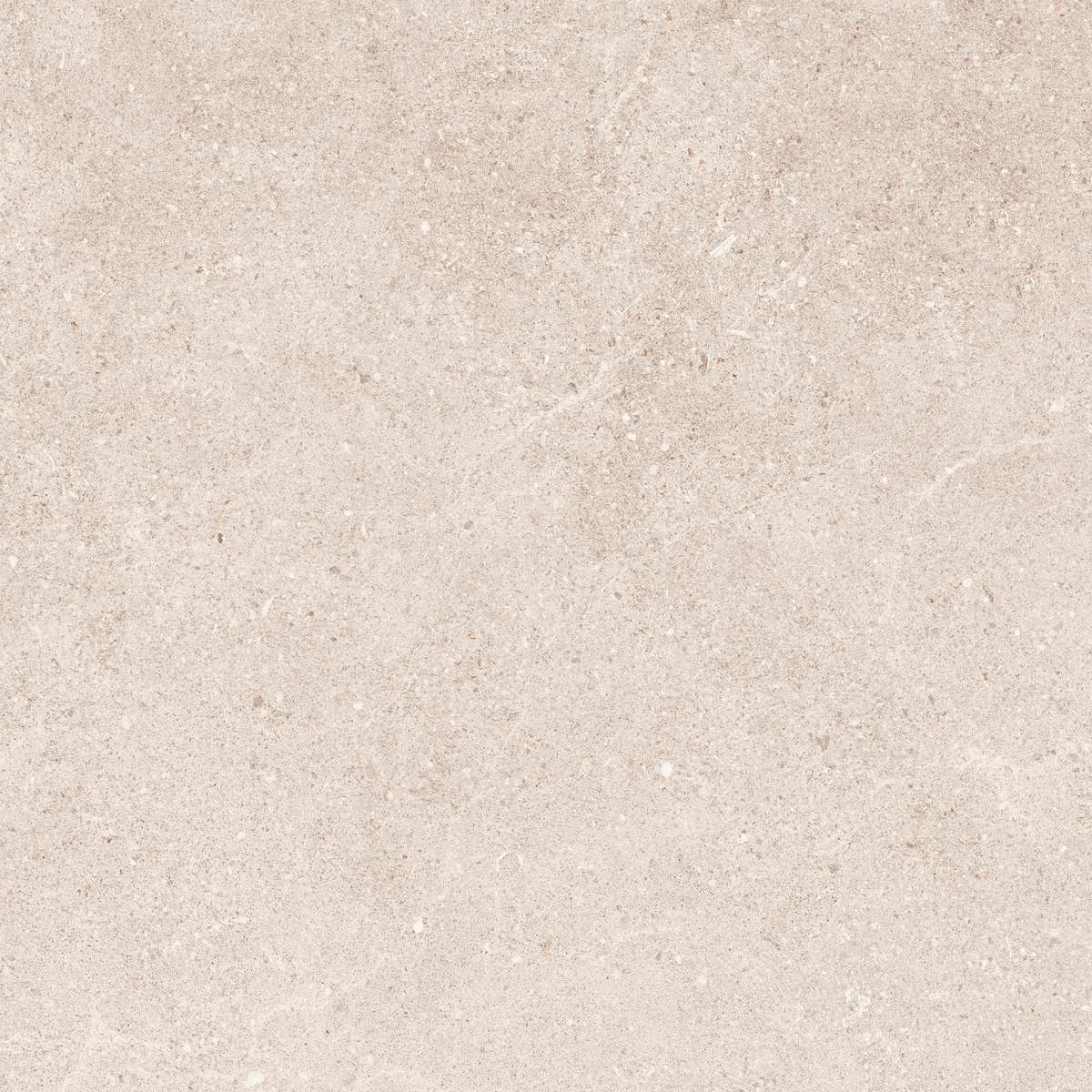 60x60 PADOVA BONE REKTIFIYE