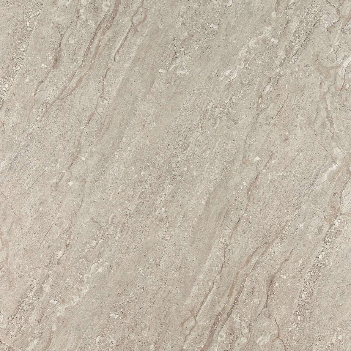 80x80 ARMA GRI REKTİFİYE PARLAK NANO - 3