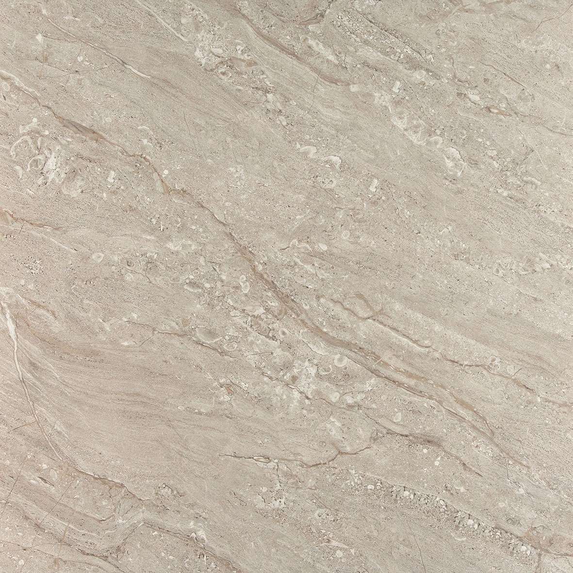 80x80 ARMA GRI REKTİFİYE PARLAK NANO - 4