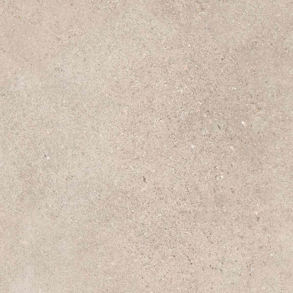 80x80 OCTAVIA BONE REKTİFİYE 20 MM R11 - 3