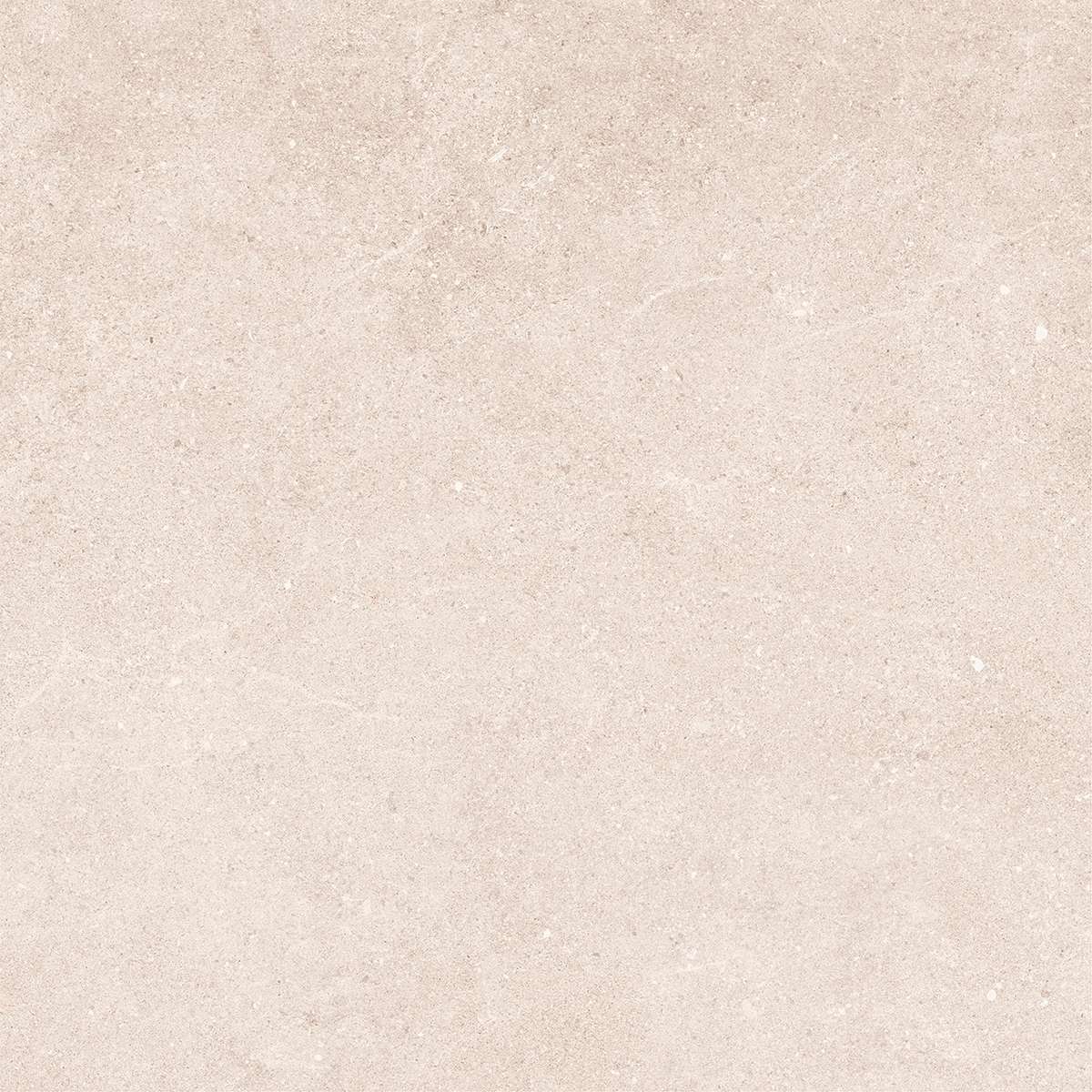 80x80 PADOVA BONE REKTİFİYE 20 MM R11